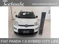 usato FIAT Panda