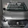 usato PEUGEOT 2008