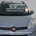 usato FIAT Panda