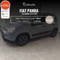 usato FIAT Panda