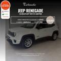 usato JEEP Renegade