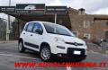 usato FIAT Panda