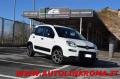 usato FIAT Panda