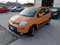 usato FIAT Panda