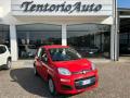 usato FIAT Panda