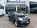 usato FIAT Panda