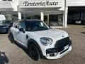 usato MINI Countryman