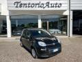 usato FIAT Panda