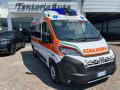 usato FIAT Ducato