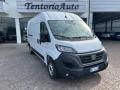 usato FIAT Ducato