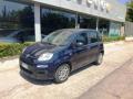 usato FIAT Panda
