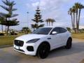 usato JAGUAR E Pace