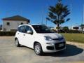 usato FIAT Panda
