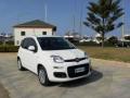 usato FIAT Panda