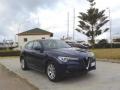 usato ALFA ROMEO Stelvio