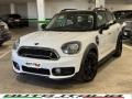 usato MINI Countryman