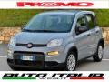 usato FIAT Panda