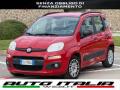 usato FIAT Panda