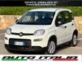 usato FIAT Panda