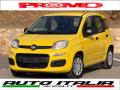 usato FIAT Pandina