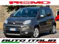usato FIAT Panda