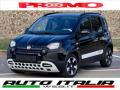 usato FIAT Pandina Cross