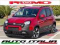 usato FIAT Pandina Cross