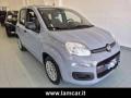 usato FIAT Panda
