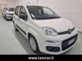 usato FIAT Panda