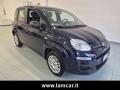 usato FIAT Panda