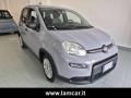 usato FIAT Panda