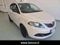 usato LANCIA Ypsilon
