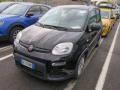 usato FIAT Panda
