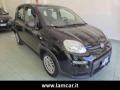 usato FIAT Panda