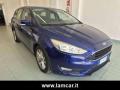 usato FORD Focus