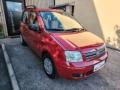 usato FIAT Panda
