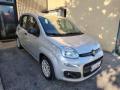 usato FIAT Panda