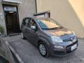 usato FIAT Panda