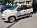usato FIAT Panda