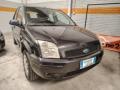 usato FORD Fusion