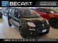 usato FIAT Panda