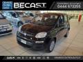 usato FIAT Panda