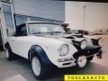 usato ABARTH Altro