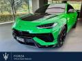 usato LAMBORGHINI Urus
