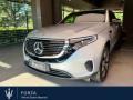 usato MERCEDES EQC