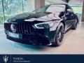 usato MERCEDES AMG GT