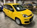 usato FIAT Panda