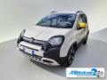 usato FIAT Panda Cross