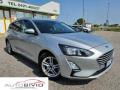 usato FORD Focus