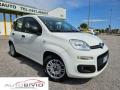usato FIAT Panda